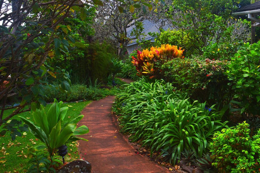 Banyan Tree B&B Retreat Makawao Extérieur photo